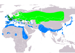 Distribución de Aythya ferina