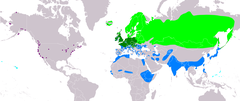 Mapa występowania