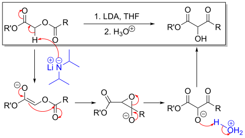 The mechanism of the Chan rearrangement