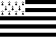 Flag of Brittany, France (Sable, four bars argent)