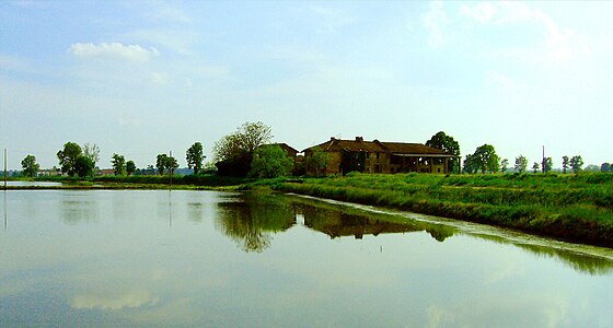 Rizière à Vigevano dans la Province de Pavie.