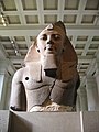 拉美西斯二世（Ramesses）头像（1818年由英国驻埃及总领事捐出）