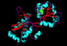 Crystal structure of Cyclohexadienyl dehydratase precursor in Pseudomonas aeruginosa PA01.png