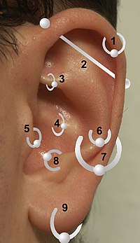 Jenis subang: 1) Helix/Kartilage, 2) Industri, 3) Rook, 4) Daith, 5) Tragus, 6) Snug, 7) Conch, 8) Anti-Tragus, 9) Cuping