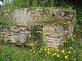 Ruins and Flora