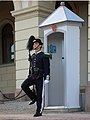 Royal Guardsman in front of the Royal Palace