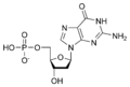 دئوکسی گوانوزین مونو فسفات