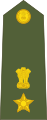 Indian Army (Lieutenant Colonel)