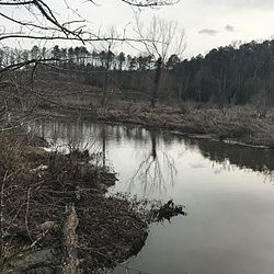 Tuckahoe Creek, which forms the western border of Tuckahoe