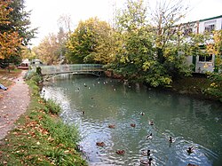 A folyó La Ferté-Alais-nél