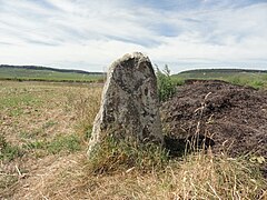 Le menhir de Haute-Borne.