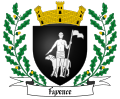 Variante ornée du blason de Fayence