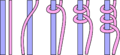 Mit dieser Knüpftechnik kann z. B. ein Pferdeschwanz verziert werden.[138]