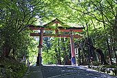 Sanō tori.