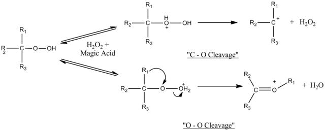 Hydroperoxides with Magic Acid