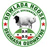 Official logo of Odweyne