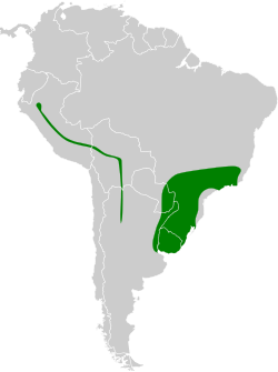 Distribución geográfica del orejerito olivaceo.