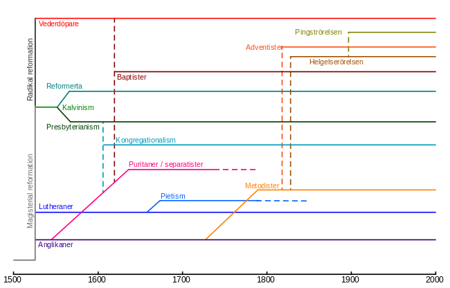 Diagram som visar huvudsakliga grenar och rörelser inom protestantismen