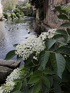 quartier Saint-Martin / pont Saint-Martin