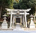 Torii gates leading to steps