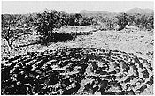Steenlabyrint van de Yaqui, Mexico, 1904