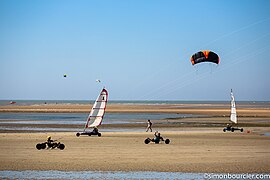 Kite on the beach