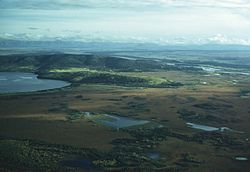 Aerial view of Big Delta region