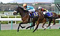 2018年優勝馬アーモンドアイ