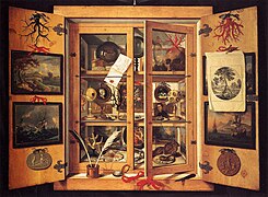 Le Cabinet de curiosités (1690), obra de Domenico Remps, Florencia