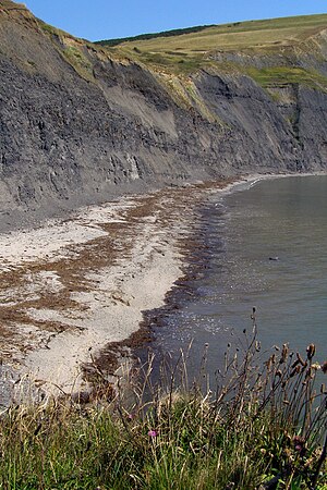 Blick hinunter auf den Kiesstrand von Egmont Bight