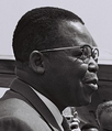 Image 41The leader of ABAKO, Joseph Kasa-Vubu, first democratically elected President of Congo-Léopoldville (from Democratic Republic of the Congo)