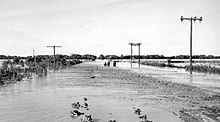 Photo of flat ground, largely covered with shallow water; poles, shrubs, and grasses projecting above surface