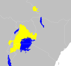 Viktori-basena arbara-savana mozaiko (Tero)