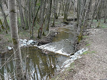 Le Coulon juste en amont de l'étang de Rouffiac, en limite de Payzac (à gauche) et d'Angoisse.