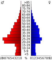Bevolkingspiramide Summit County