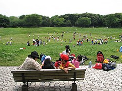 Yumenoshimapark