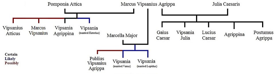 The above tree takes into account all of Agrippa's possible legitimate children that have been identified.