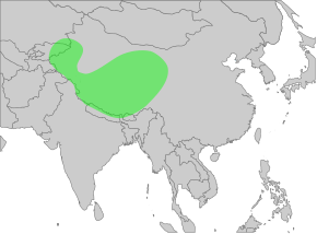 Description de l'image GypsHimalayensisMap.svg.