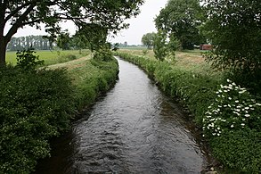 Wurm bei Heinsberg