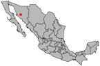 Hermosillo, Mishiku