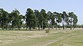 Panzerwiese im Norden der Ingolstädter Straße