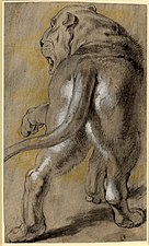 Pierre Paul Rubens, Dessin d'une lionne, ca. 1614-1615.