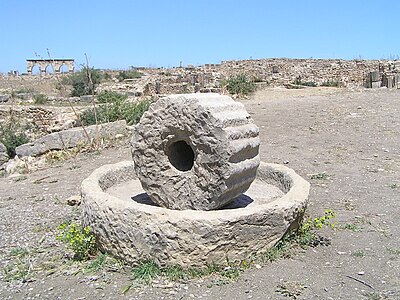 Trituration mill with upright millstone - Volubilis