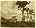 Cypress Trees - Gray Day, 1916