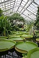 Botanischer Garten Jena