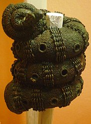 Tête de bâton ornementale en bronze d'Igbo-Ukwy du IXe siècle.