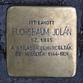 Buchsbaum Jolán, Hegedűs Gyula utca 8/b.