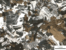Sezione di granodiorite vista a nicol incrociati