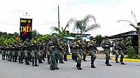 Soldiers of the Jungle Commands Group parading in Tena