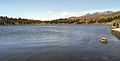 Alpina tundra at Laguna de Mucubají